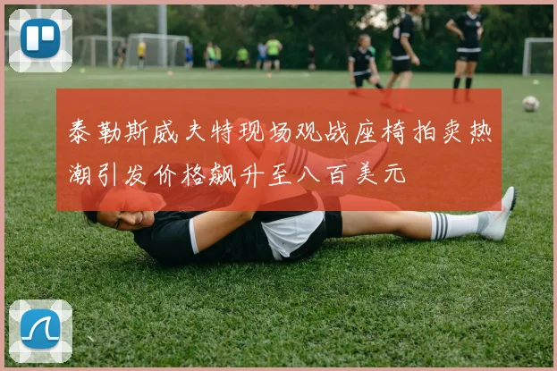 泰勒斯威夫特现场观战座椅拍卖热潮引发价格飙升至八百美元